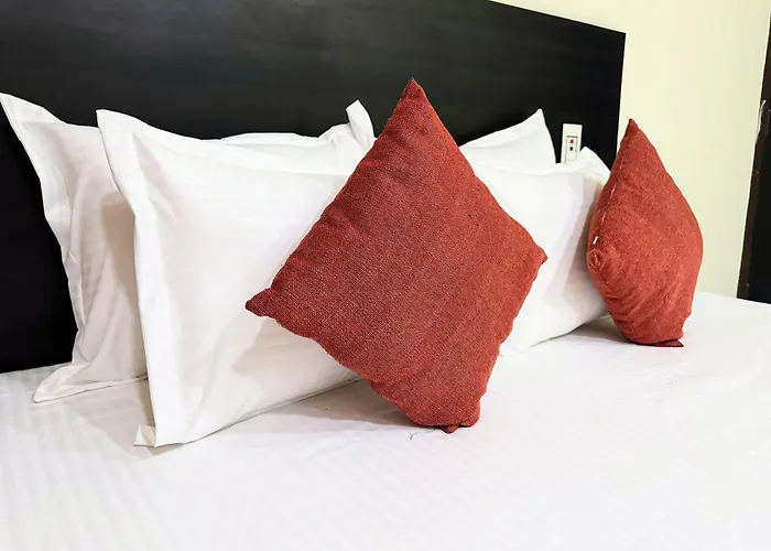 Backpacker'S NestHostel